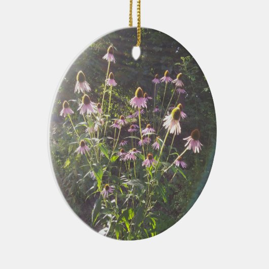 Echinacea-Blume in der Sonne Keramik Ornament (Rechts)