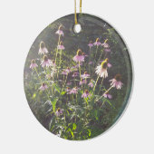Echinacea-Blume in der Sonne Keramik Ornament (Links)