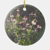 Echinacea-Blume in der Sonne Keramik Ornament (Hinten)