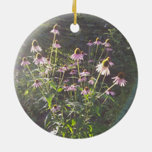 Echinacea-Blume in der Sonne Keramik Ornament (Hinten)