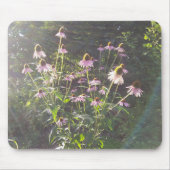 Echinacea-Blume in der Sonne Mousepad (Vorne)