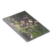 Echinacea-Blume in der Sonne Notizblock (Rechte Seite)