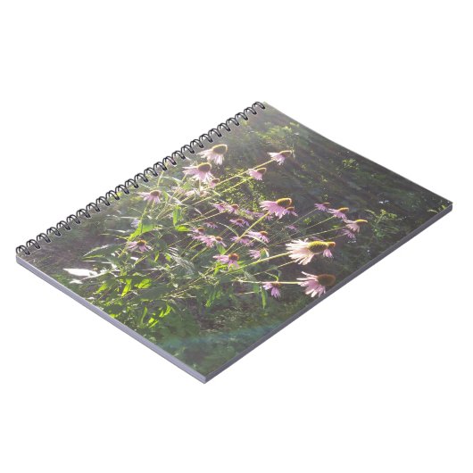 Echinacea-Blume in der Sonne Notizblock (Linke Seite)