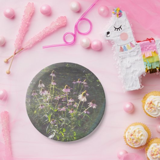 Echinacea-Blume in der Sonne Pappteller (Party)