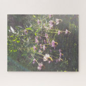 Echinacea-Blume in der Sonne Puzzle (Horizontal)