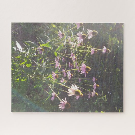 Echinacea-Blume in der Sonne Puzzle (Horizontal)