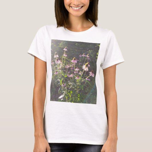 Echinacea-Blume in der Sonne T-Shirt (Vorderseite)