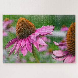 Echinacea Blume Jigsaw Puzzle