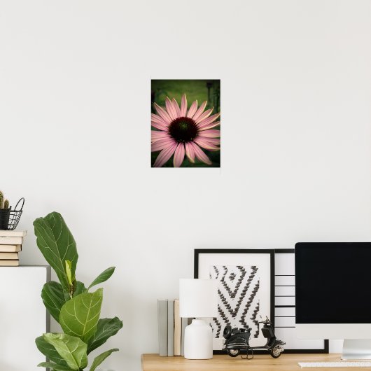 Echinacea Blume Lila Poster (Heimbüro)