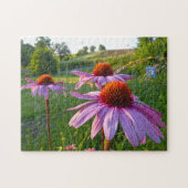 Echinacea Blume Montana. Puzzle (Horizontal)
