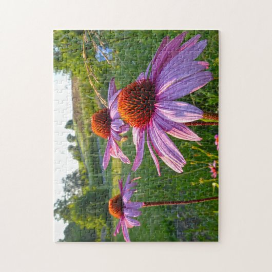 Echinacea Blume Montana. Puzzle (Vertikal)