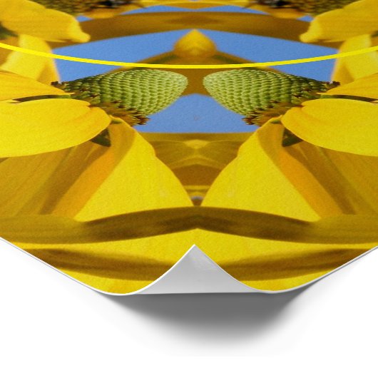 Echinacea Blume Natur Kunst erschaffen Ihr eigenes Poster (Ecke)