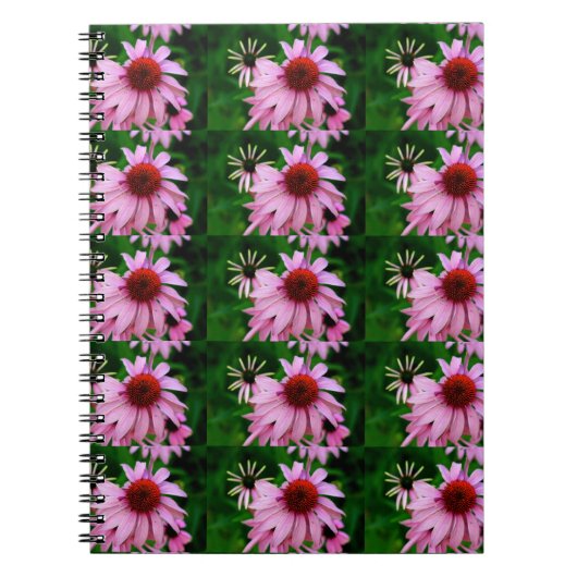 Echinacea-Blume Notizblock (Vorderseite)