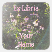 Echinacea-Blumen im Sonnenlicht-Exlibris Quadratischer Aufkleber (Vorderseite)