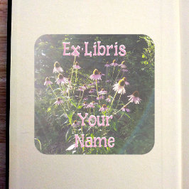 Echinacea-Blumen im Sonnenlicht-Exlibris Quadratischer Aufkleber