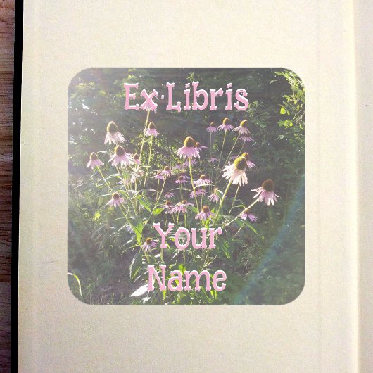 Echinacea-Blumen im Sonnenlicht-Exlibris Quadratischer Aufkleber