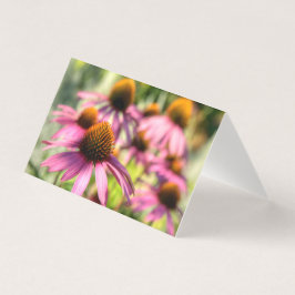 Echinacea-Blumenzene