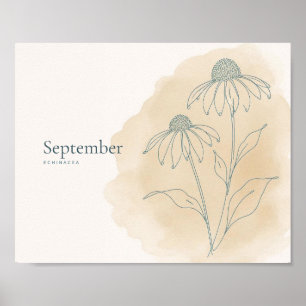 Echinacea Botanischer Kunstdruck September Poster