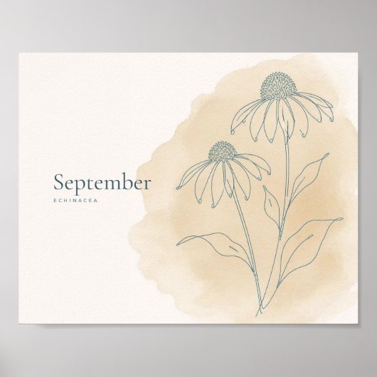 Echinacea Botanischer Kunstdruck | September Poster (Vorne)