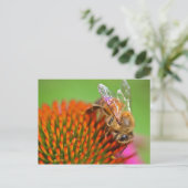 Echinacea Coneflower und Biene Postkarte (Stehend Vorderseite)