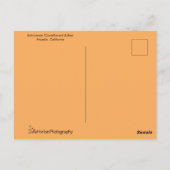 Echinacea Coneflower und Biene Postkarte (Rückseite)