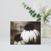 Echinacea Dark Dreams Postkarte (Stehend Vorderseite)