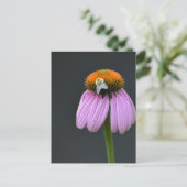 Echinacea lila Glockenblume Postkarte (Stehend Vorderseite)