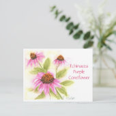 Echinacea Lila Verdickungskarte Postkarte (Stehend Vorderseite)