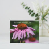 Echinacea mit Zitat zur Geduld Postkarte (Stehend Vorderseite)
