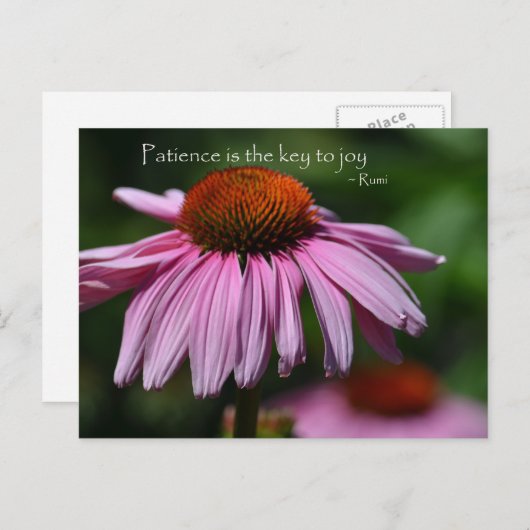 Echinacea mit Zitat zur Geduld Postkarte (Vorne/Hinten)