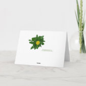 Echinacea Nature Quote Blank Card Karte (Rückseite)