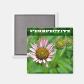 Echinacea-Perspektivmagnet Magnet (Vorderseite/Rückseite)