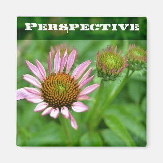 Echinacea-Perspektivmagnet Magnet (Vorne)