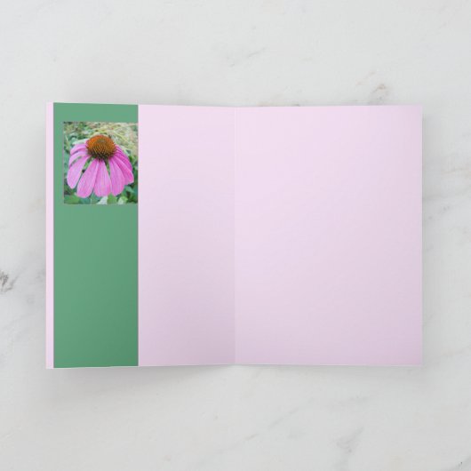 Echinacea Pink Karte (Innenseite)