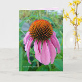 Echinacea Pink Karte (Gelbe Blume)