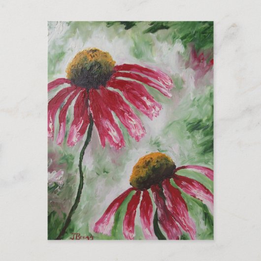 Echinacea Postkarte (Vorderseite)