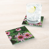 Echinacea Purpurea, Lila Blumenkohl Glasuntersetzer (Schrägansicht)