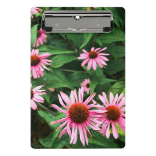 Echinacea Purpurea, Lila Blumenkohl Mini Klemmbrett