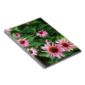 Echinacea Purpurea, Lila Blumenkohl Notizblock (Rechte Seite)