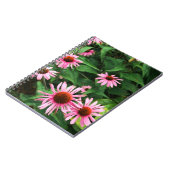 Echinacea Purpurea, Lila Blumenkohl Notizblock (Linke Seite)