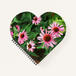 Echinacea Purpurea, Lila Blumenkohl Notizblock