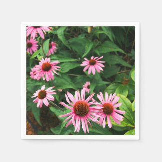 Echinacea Purpurea, Lila Blumenkohl Serviette