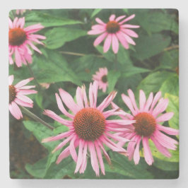Echinacea Purpurea, Lila Blumenkohl Steinuntersetzer