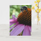 Echinacea und Biene Karte (Gelbe Blume)