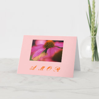 "Echinacea y amor " Feiertagskarte