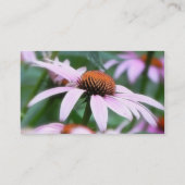 Echinaceas im Nebel Visitenkarte (Rückseite)