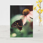 Echinaceasipper-Gruß-Karte Karte (Gelbe Blume)