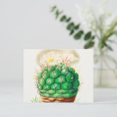 Echinocactus Cactus Vintag illustriert Postkarte (Stehend Vorderseite)