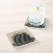 Echinocactus horizonthalonius Kaktus-Untersetzer Glasuntersetzer (Schrägansicht)