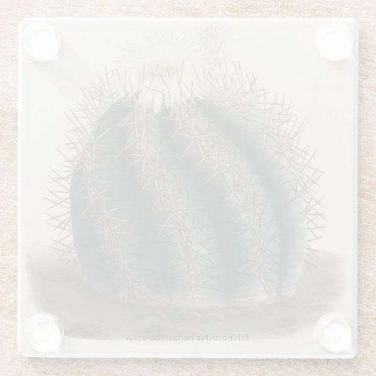Echinocactus horizonthalonius Kaktus-Untersetzer Glasuntersetzer (Rückseite)